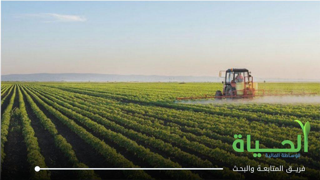 اعلنت الشركة الاهلية للانتاج الزراعي عن البيانات الفصلية للفصل الاول من السنة المالية 2026