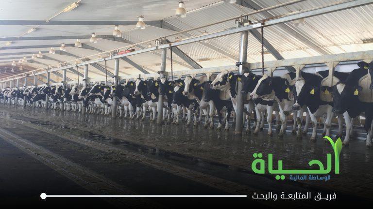اعلنت شركة بابل للانتاج الحيواني و النباتي عن بيانات الفصل الثاني لسنة 2026