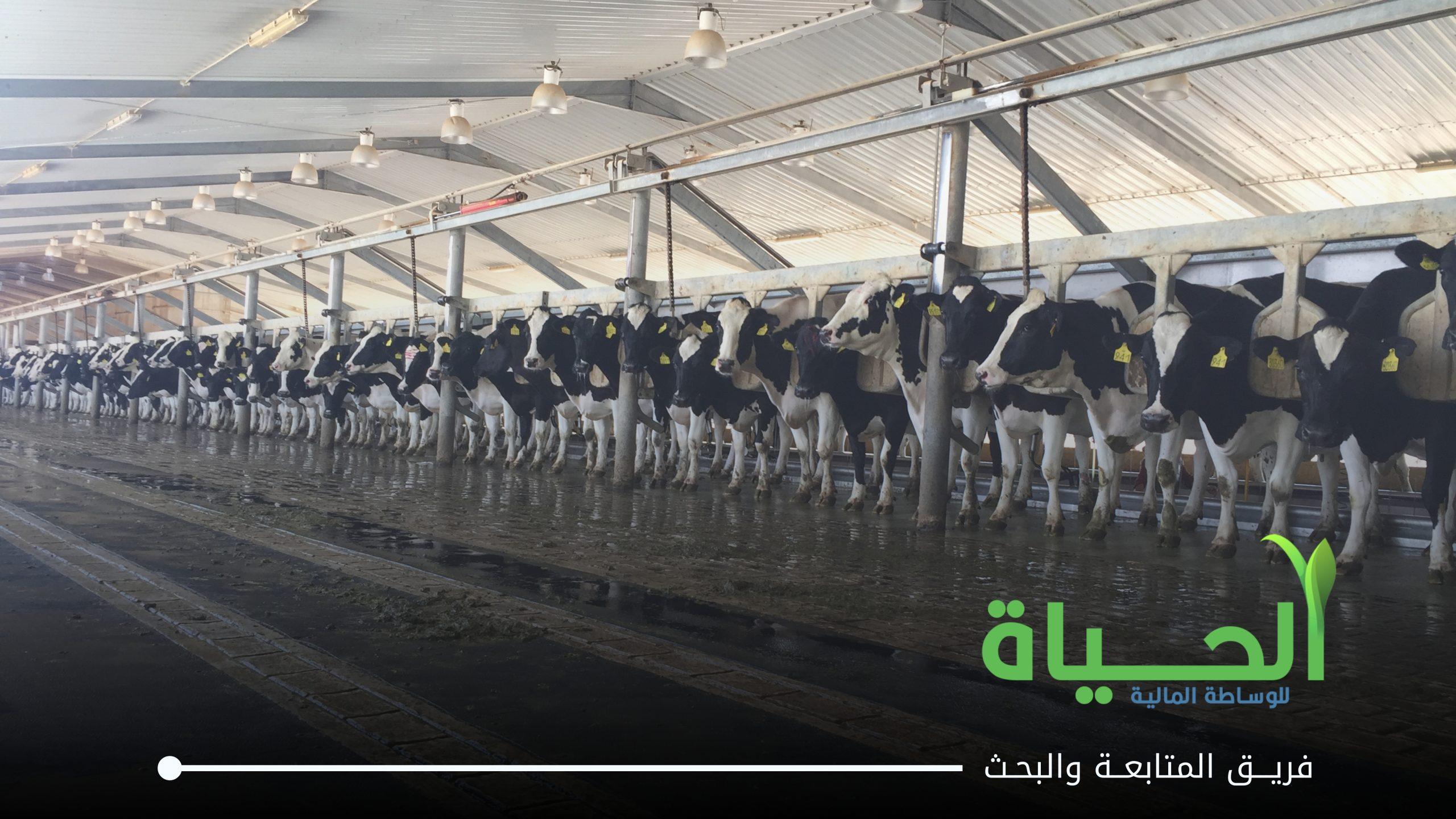 اعلنت الشركة العراقية لانتاج و تسويق اللحوم عن بيانات الفصل الثاني لسنة 2026