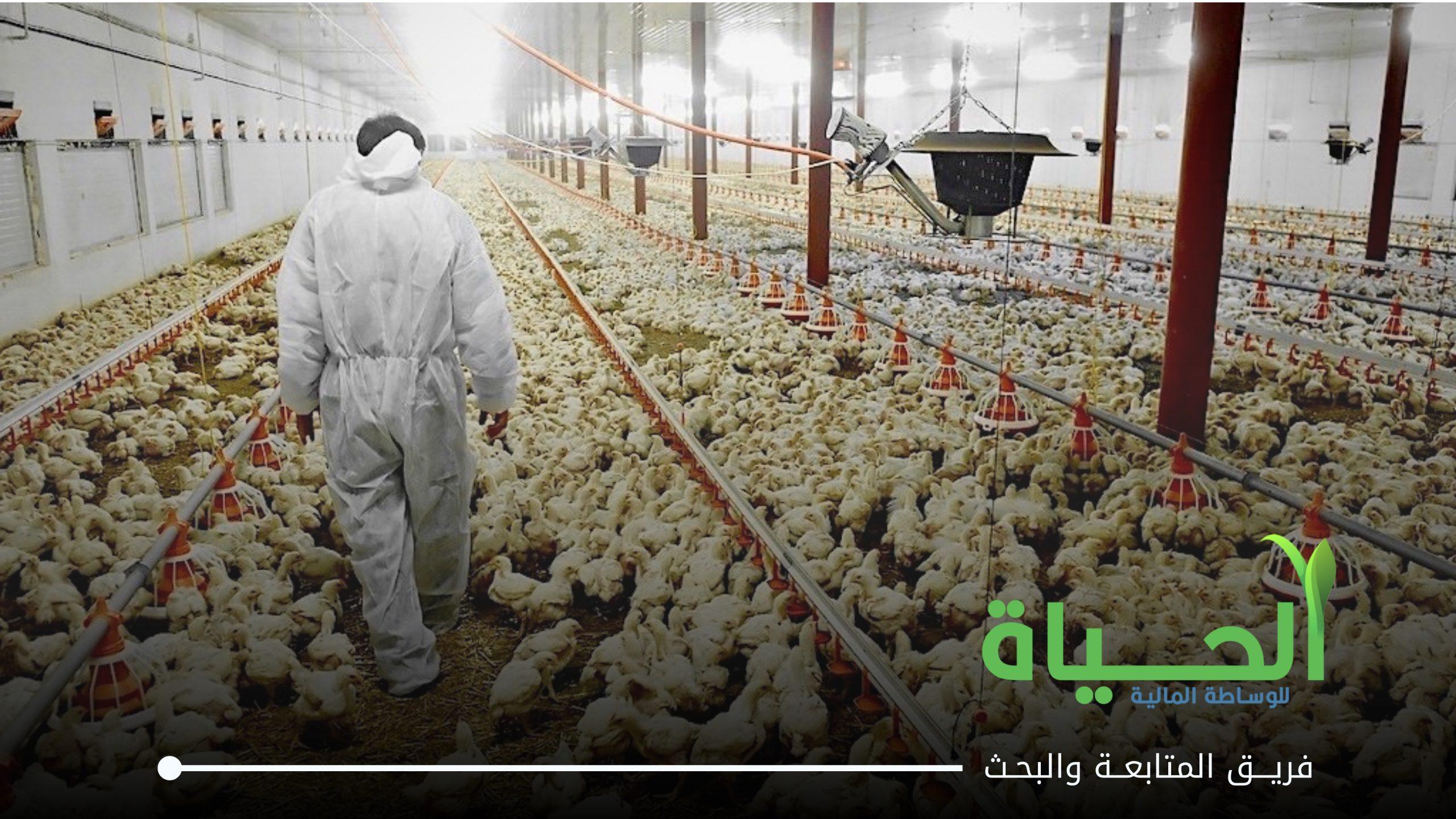 اعلنت شركة بابل للانتاج الحيواني و النباتي عن بيانات الفصل الاول للسنة المالية 2026